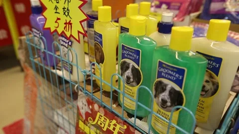 Pet Store in Beijing Stock Footage 203186107