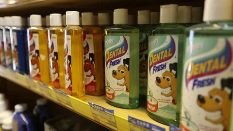 Pet Store in Beijing Stock Footage 203187252