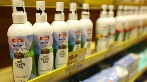 Pet Store in Beijing Stock Footage 203187680