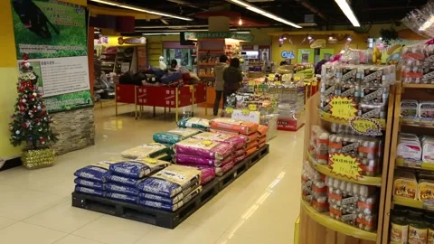 Pet Store in Beijing Stock Footage 203187749
