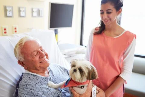 Pet therapy dog visiting senior male patient in hospital Stock Photos