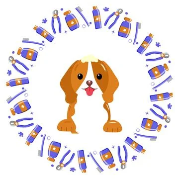 Pet tools frame with dog in the center. white background Stock Illustration