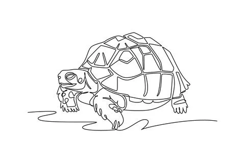 Pet tortoise with armored scute shell walking slowly on ground Stock Illustration
