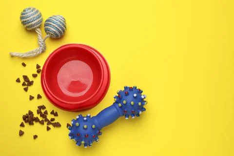 Pet toys, food and bowl on yellow background, flat lay. Space for text Stock Photos
