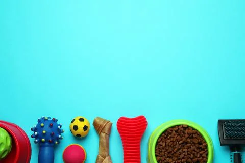 Pet toys, food and brush on light blue background, flat lay. Space for text Stock Photos