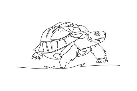 Pet turtle tortoise crawling with head raised high 库存插图