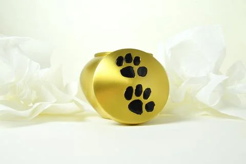 Pet urn Stockfoto's