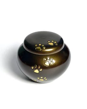 Pet urn Stockfoto's