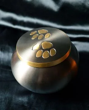 Pet urn Stockfoto's
