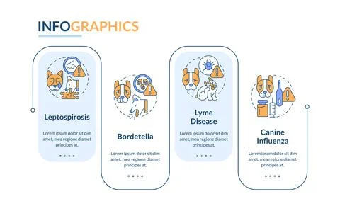 Pet vaccinations rectangle infographic vector イラスト素材