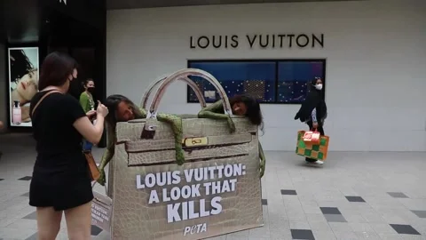 PETA activists protest outside Louis Vuitton store in Kuala Lumpur, MALAYSIA, MY Stock Footage 221891953
