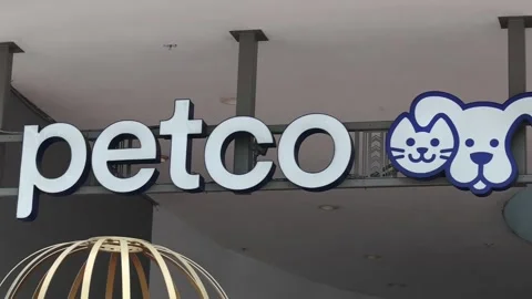 PETA activists protest outside Petco in Miami Beach over alleged bird abuse, Fló 스톡 동영상 341519646