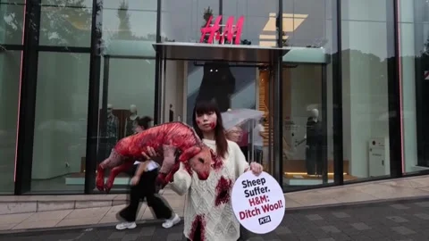 PETA activists protest wool sales outside H&amp;M store in Tokyo, TOKYO, JP - 16 Sep Stock Footage 345635549