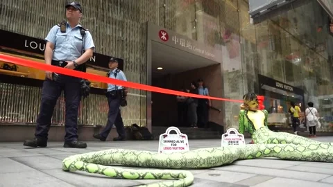 PETA protests in front of Louis Vuitton store in Hong Kong, Hong Kong, CN - 05 J Stock Footage 310719555