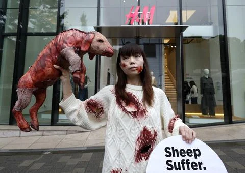 PETA supporters stage a protest before the H&amp;M Harajuku store, Tokyo, Japan - 16 Stock Photos