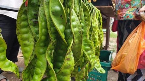 Petai (bitter beans) at the stall. Stock Footage 115219095