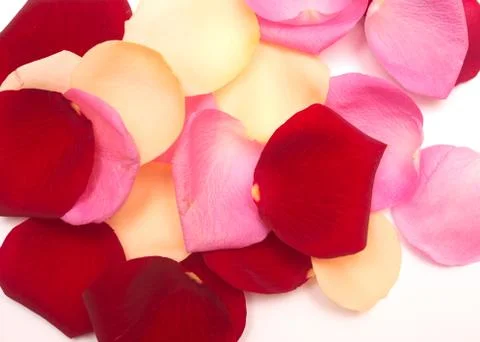 Petal background Stock Photos