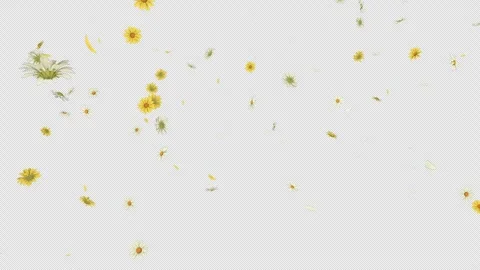 Petal Flow Light Stock Footage 304589820