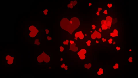 Petal Stock Footage 95672401