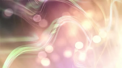 Petal Motion Stock Footage 311667511