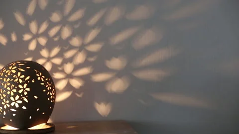 Petal Pattern Lampshade Stock Footage 333160009