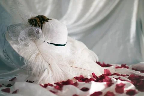 Petal soft Stock Photos