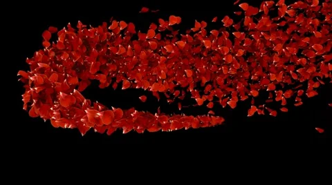 Petal trail Видео 2641824