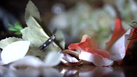 Petals and ring Video stock 173428965