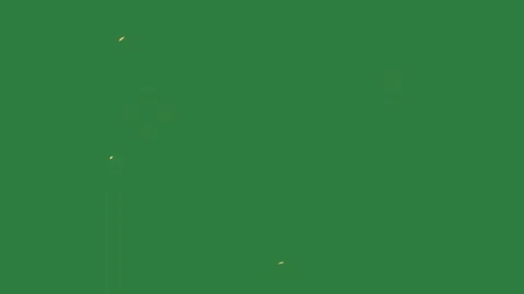 Petals Animated - Chroma Key Green Screen Footage Stock Footage 338016006