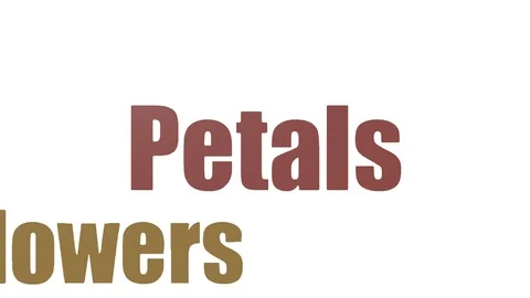Petals Animated Word Cloud Isolated On White Stock Footage 103656145
