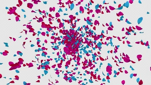 Petals Background Stock Footage 158862011