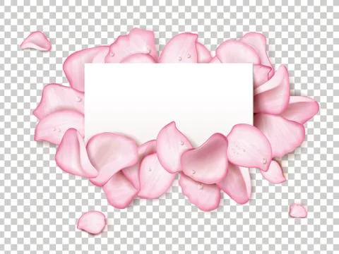 Petals with blank paper Stock-Illustration
