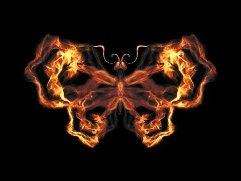 Petals of Butterfly Stock Illustration