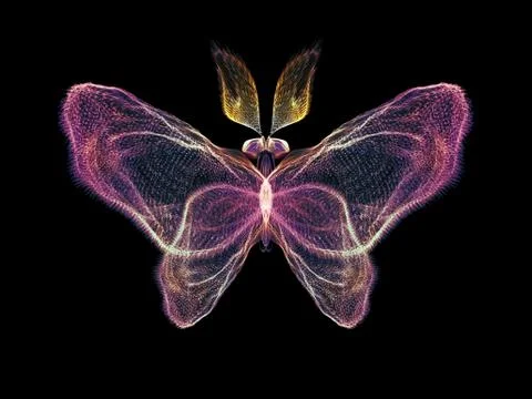 Petals of Butterfly Stock Illustration
