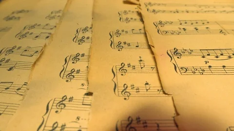 Petals fall on old notes Stock Footage 102426638