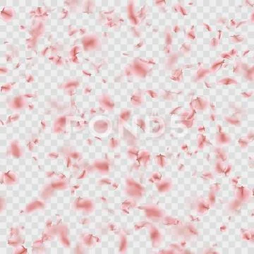 Petals falling confetti effect isolated on transparent. EPS 10 vector Stock Illustration