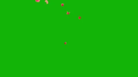 Petals Falling Green Screen Video Stock Footage 318946897
