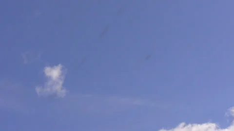 Petals falling slowly Видео 23223841