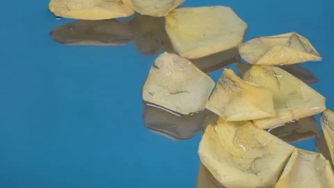 Petals falling in the water Stock Footage 292116399