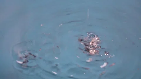 Petals falling in the water Stock Footage 292116492