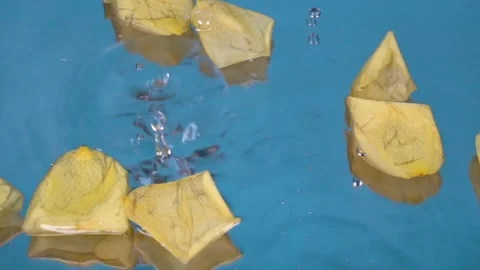 Petals falling in the water Stock Footage 292116721