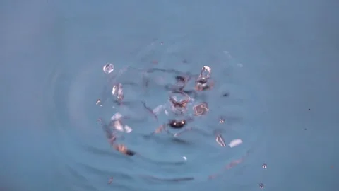 Petals falling in the water Stock Footage 292116780