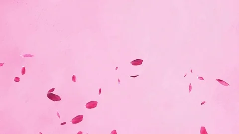 Petals HD Video stock 75410466