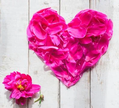 Petals in heart shape Stock Photos