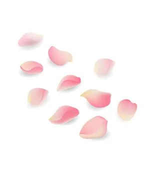 Petals Stock Illustration