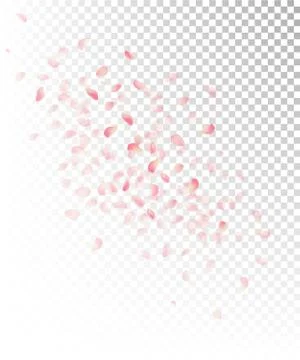 Petals Stock Illustration