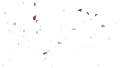 Petals Logo Reveal Stock Footage 250752303