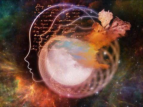 Petals of the Moon 库存插图