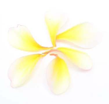 Petals Foto stock