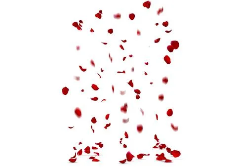 The petals of a red rose fall to the floor against a background of blurred pe Stock Illustration
